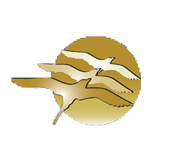 New Spirit Vacation Homes logo