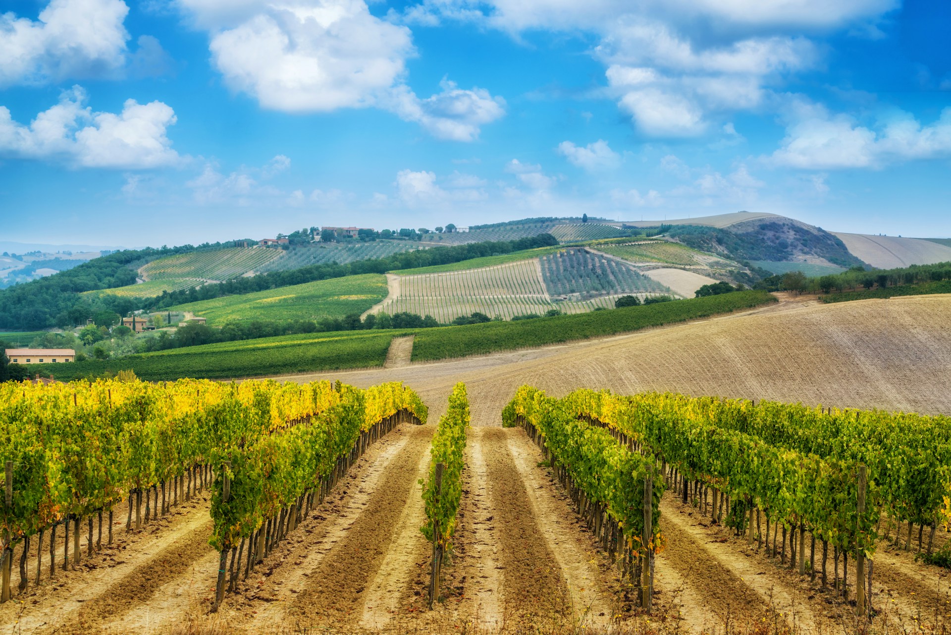 Temecula vacation rentals